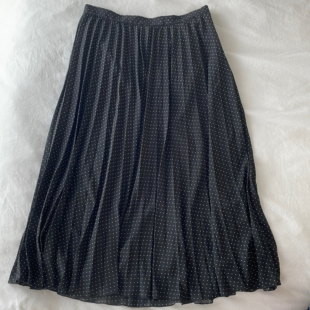 Banana Republic Pleated Chiffon Skirt